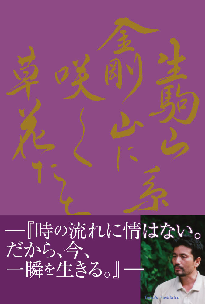 生駒山系　金剛山に咲く草花たち