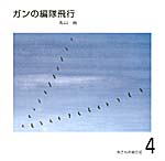 ガンの編隊飛行　丸さんの絵日記4